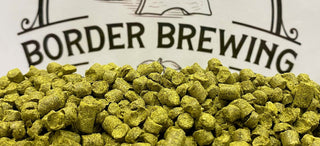 Hops Beer Brewing Homebrew Craft Brew