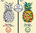 Bru-1 Pineapple hops