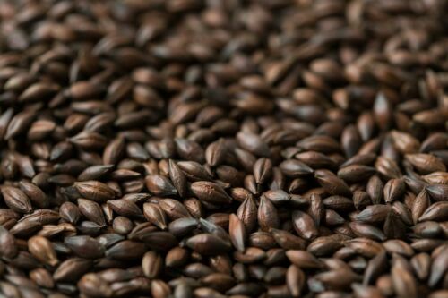 Gladfield LIGHT Chocolate Malt