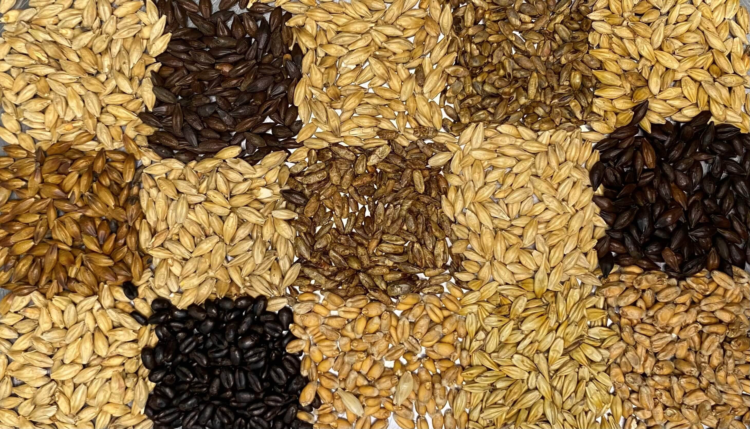 Home brewing ingredients including malted grain, hops and brewing supplies from Border Brewing Supplies.