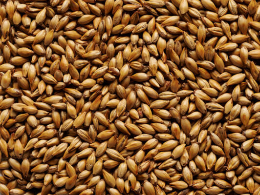 Light Crystal Malt Grain