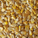 Gladfield Malted Maize - Corn