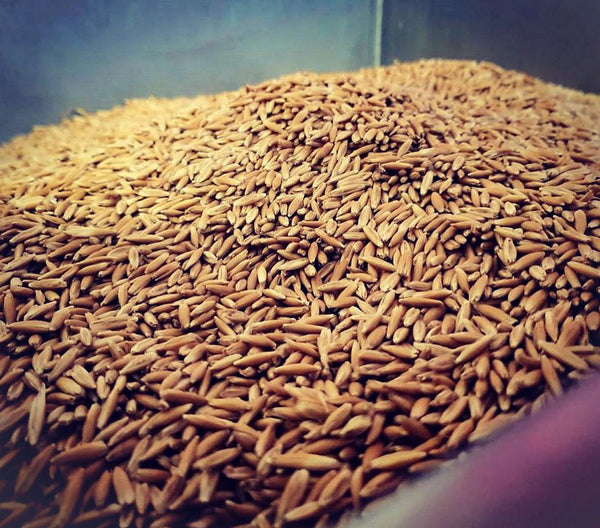 Malted Oats - Voyager