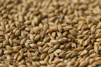 Gladfield Munich Malt