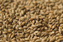 Gladfield Munich Malt