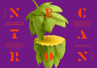 Nectaron Hops T90 2023 11%AA