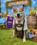 Brick Road Wheat Beer