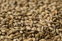 Gladfield Vienna Malt