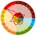 Acidulated Malt - Weyermann