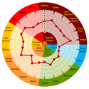 Flavour wheel showing the caramel, pastry, biscuit and toasted bread characteristics of Weyermann Caramunich Type 2 German crystal brewing malt