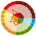 Weyermann Extra Pale Premium Pilsner Malt flavour wheel showing malt and light honey notes
