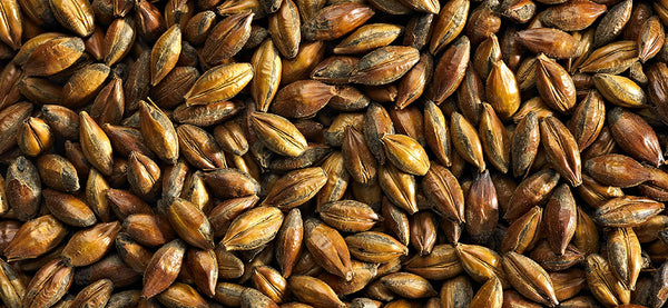 Brown Malt - Simpsons