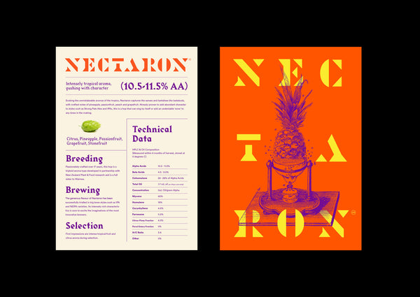Nectaron hop flavour profile featuring pineapple, passionfruit, peach and grapefruit