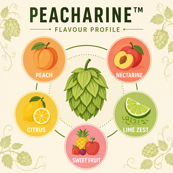 Peacharine hops flavour wheel showing peach nectarine citrus lime zest and sweet fruit