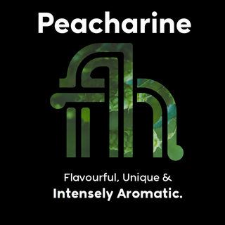 Peacharine New Zealand hops with intense peach nectarine and citrus aroma