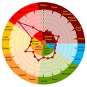 Weyermann Acidulated Malt flavour wheel showing fruity lactic acidity
