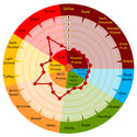 Weyermann Barke Pilsner Malt flavour wheel showing rich malt and subtle toffee notes
