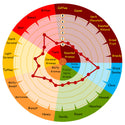 Weyermann Beech Smoked Barley Malt flavour wheel showing smoke, vanilla and honey
