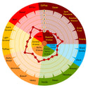 Weyermann CARAHELL flavour wheel showing malty sweetness and fine caramel notes
