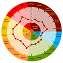 Weyermann CARARED flavour wheel showing caramel, honey, pastry and malty-sweet notes
