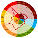Weyermann Rye Malt Pale flavour wheel showing rye, bread, honey and malty-sweet notes