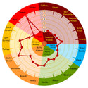 Weyermann Wheat Malt Pale flavour wheel showing bread, biscuit, nut, toffee and light caramel notes
