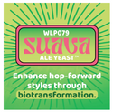 White Labs WLP079 Suava Ale Yeast promotional graphic highlighting enhanced hop biotransformation for hop-forward beers, Hazy IPA and NEIPA.