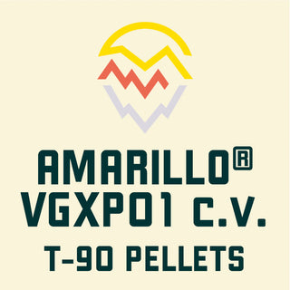 Amarillo Hops