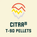 Citra Hops T90 2023 13.8%AA