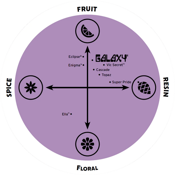 Galaxy Hop Flavour Wheel