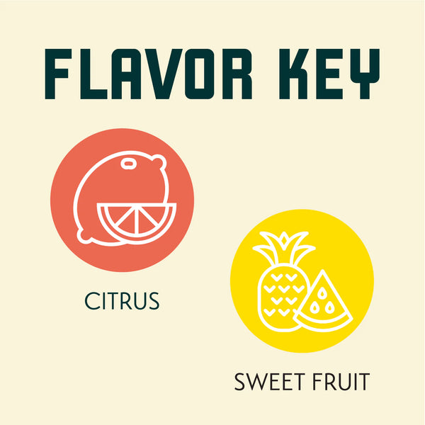 Motueka hops flavour profile showing lime, citrus and tropical fruit characteristic