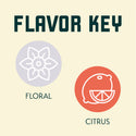 Cascade hop flavour key showing grapefruit floral citrus pine and herbal aromas