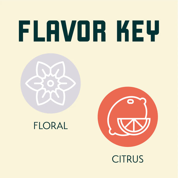 Cascade hop flavour key showing grapefruit floral citrus pine and herbal aromas