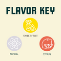 Citra hop aroma profile featuring citrus, tropical fruit and Floral character