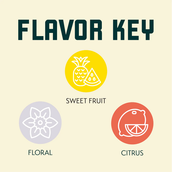 Citra hop aroma profile featuring citrus, tropical fruit and Floral character