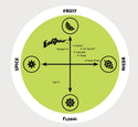 Eclipse hop flavour profile featuring sweet mandarin, citrus peel and fresh pine
