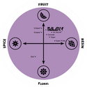 Galaxy hop flavour profile featuring passionfruit, peach and citrus