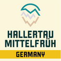 Hallertau Mittelfrüh hops for German Pilsner and Munich Helles