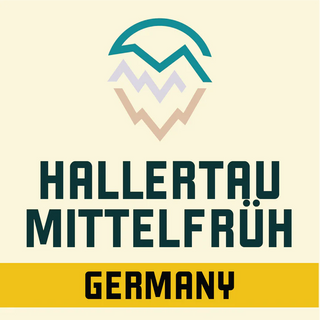 Hallertau Mittelfrüh hops for German Pilsner and Munich Helles