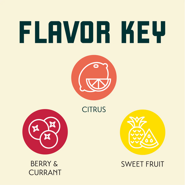 Mosaic hop flavour profile featuring berry, tropical fruit, citrus and floral notes