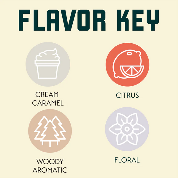 Saaz hop flavour profile featuring spicy, herbal, earthy and floral notes