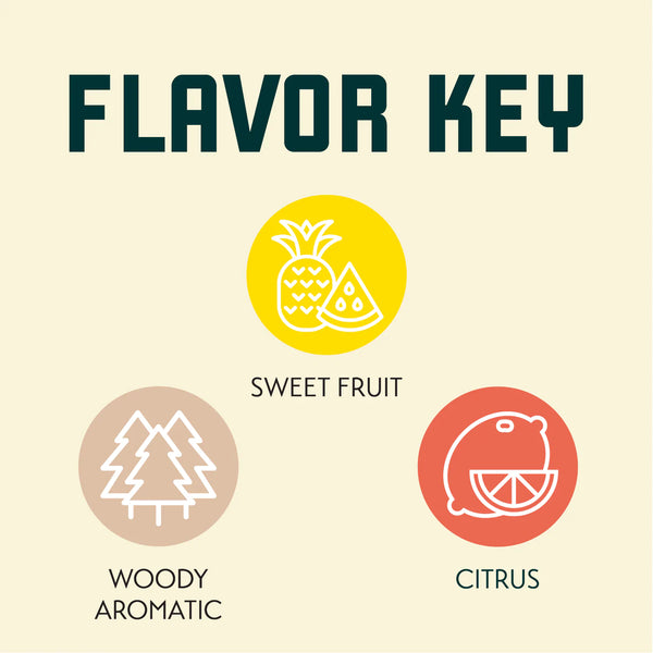 Simcoe hop flavour key showing grapefruit citrus pine stone fruit and tropical aromas