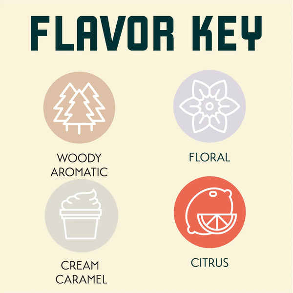 Tettnang hop flavour profile featuring floral, spicy and herbal notes